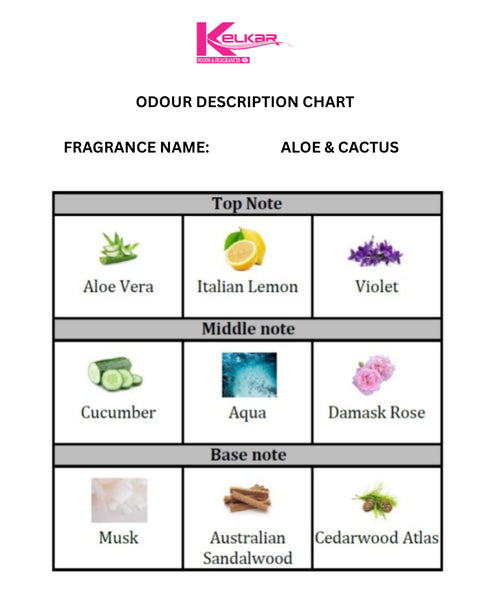 Aloe & Cactus