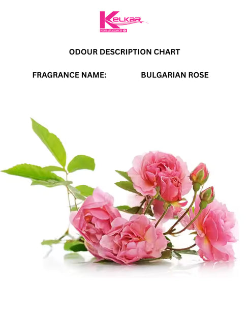 Bulgarian Rose