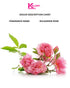 Bulgarian Rose