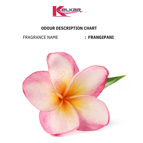 Frangipani
