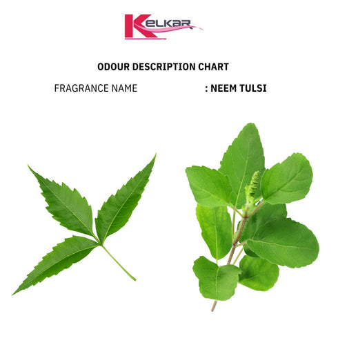 Neem Tulsi