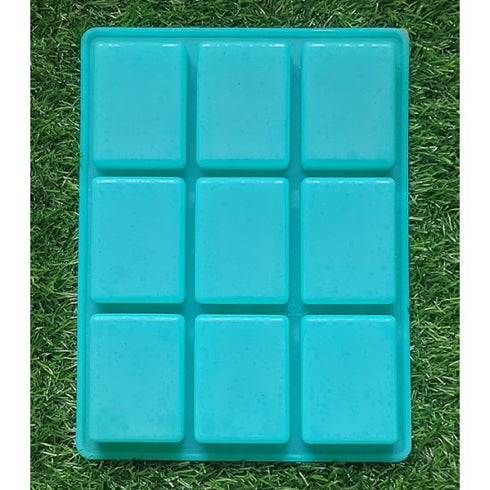 RECTANGULAR MOULD 100 GM (9Cavity)