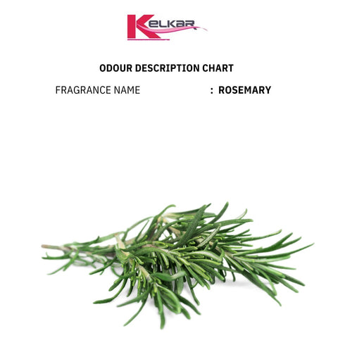 Rosemary FO