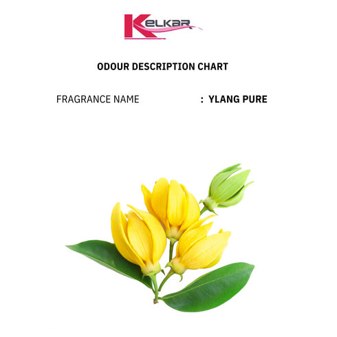 Ylang Pure FO